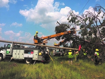 An electrical line crew clearing trees near a line
